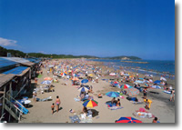 �Ҋ��c�C������