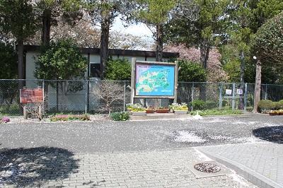 貝塚内_3 2025.4.29.jpg